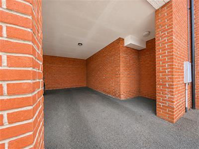 Picture 7